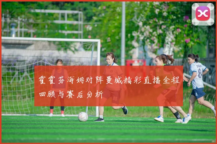 霍霍芬海姆对阵曼城精彩直播全程回顾与赛后分析